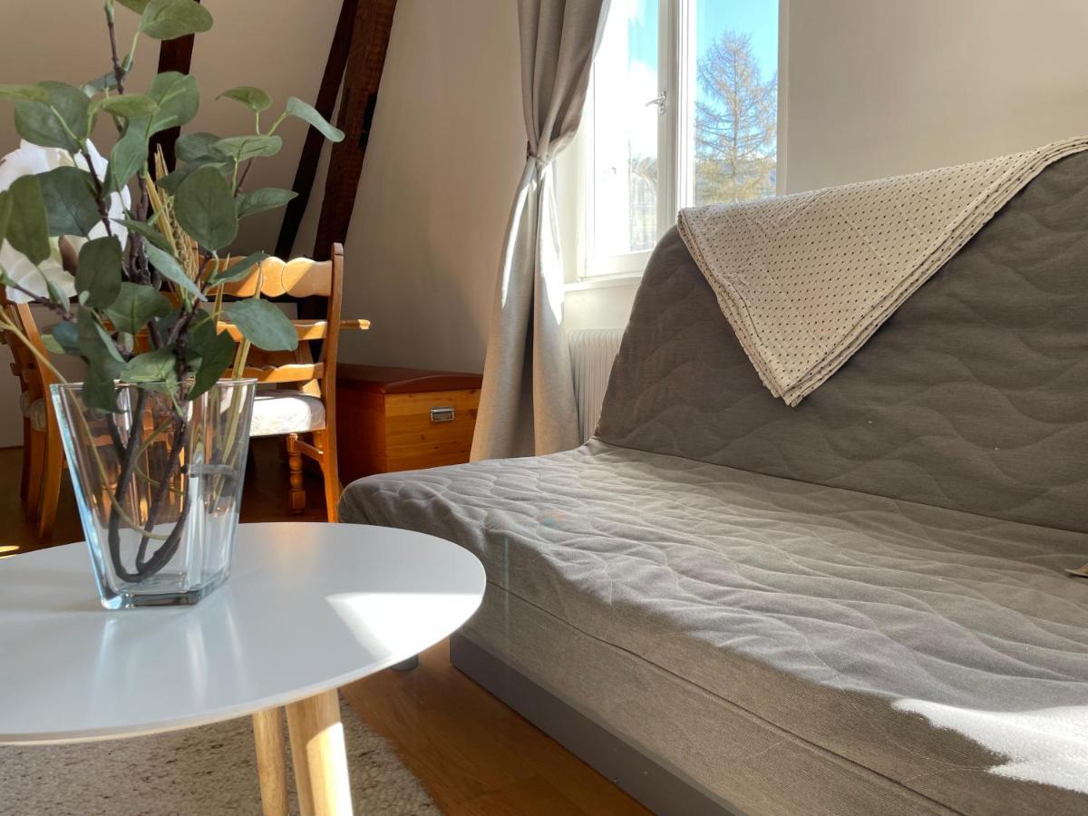 Bodensee Rooms ロッハウ・バイ・ブレゲンツ エクステリア 写真